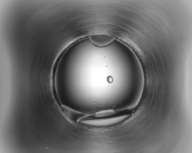 X0000094080894200710261305