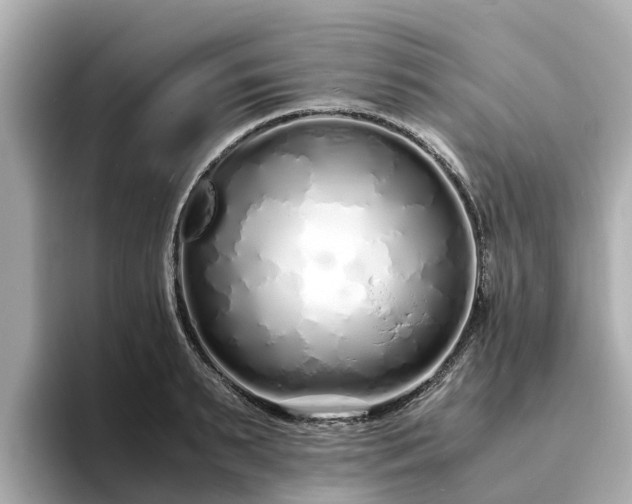 X0000094080895200710261305