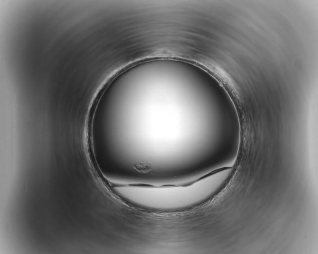 X0000094080896200710261305