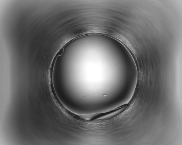 X0000094080898200710261305