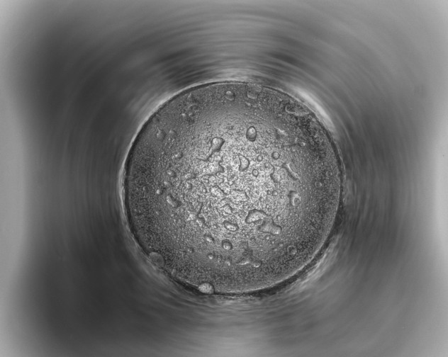 X0000094080899200710261305