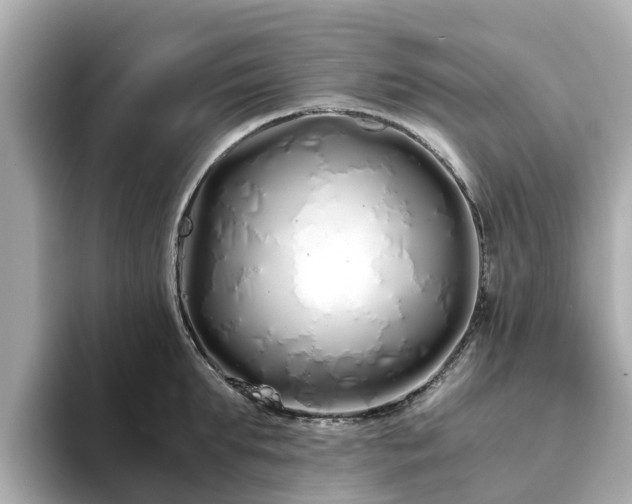 X0000094080903200710261305