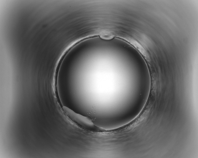 X0000094080904200710261305