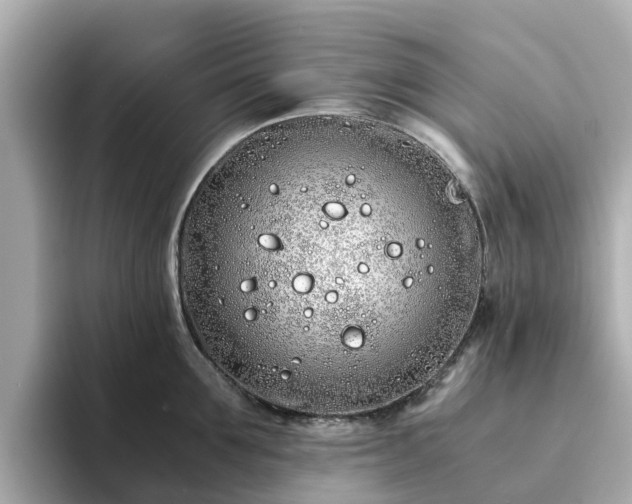 X0000094080907200710261305