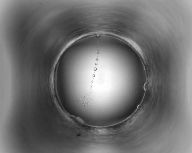 X0000094080911200710261304