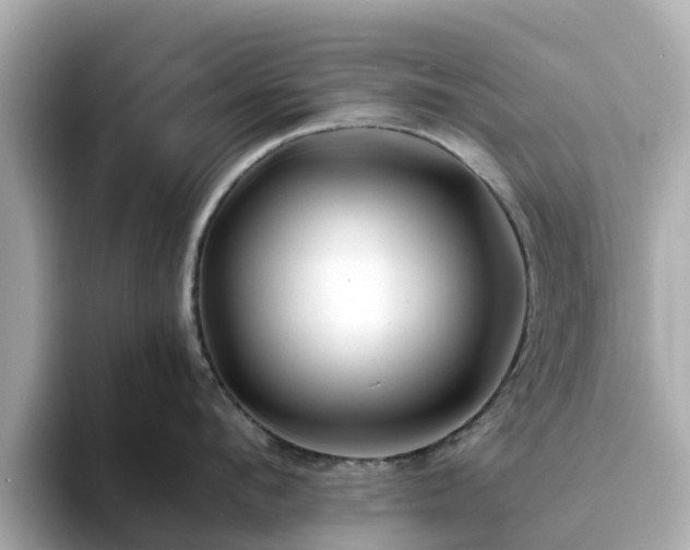 X0000094080912200710261304