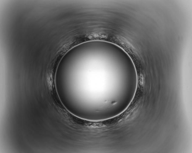 X0000094080915200710261304