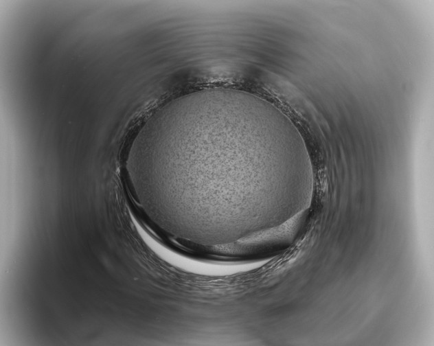 X0000094080916200710261304