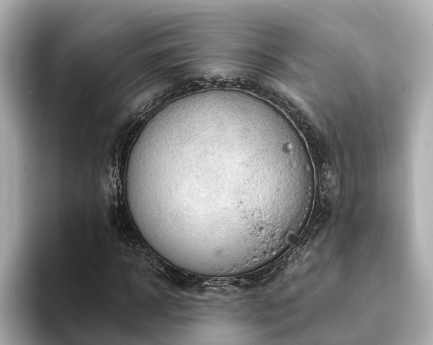 X0000094080918200710261304