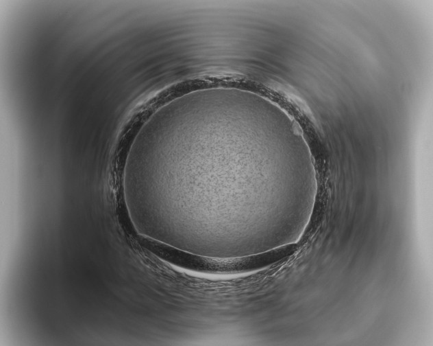 X0000094080920200710261304