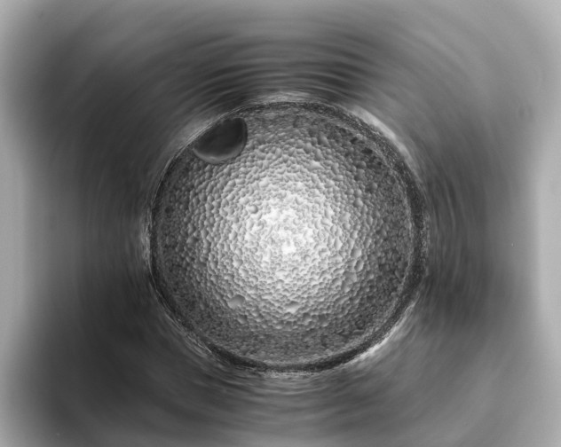 X0000094080921200710261304