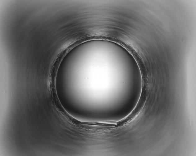 X0000094080922200710261304