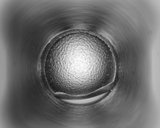 X0000094080923200710261304