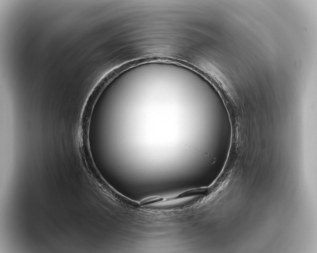 X0000094080924200710261304