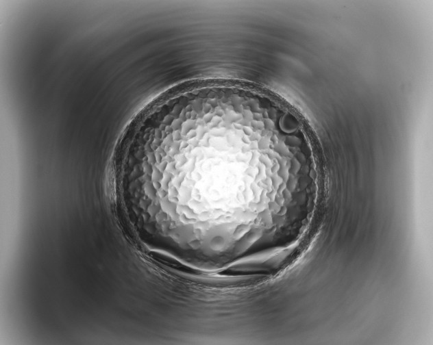 X0000094080925200710261304