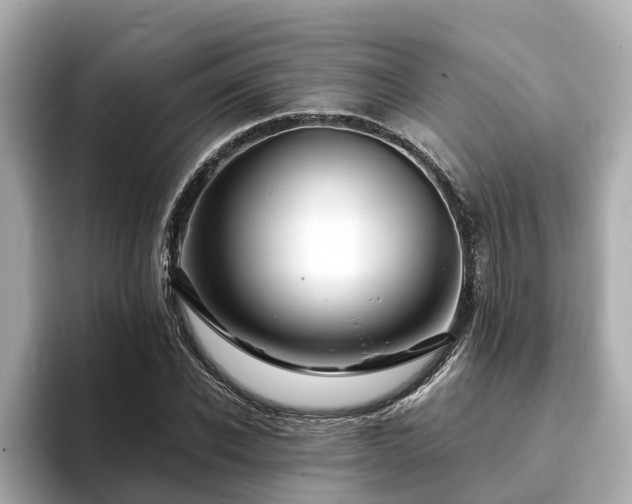 X0000094080926200710261304