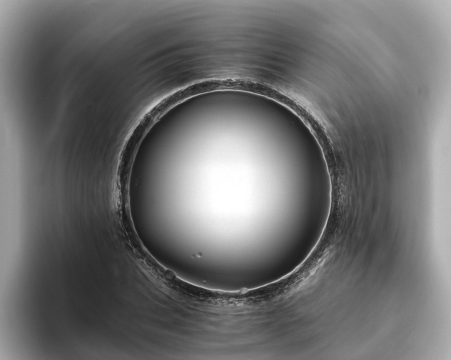 X0000094080927200710261304