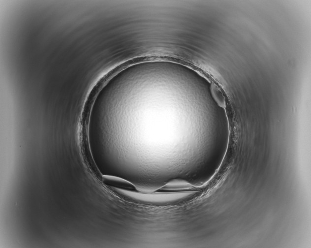 X0000094080928200710261304