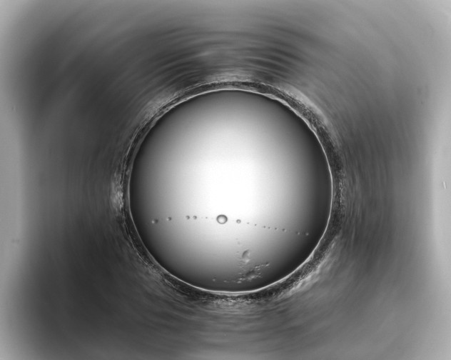 X0000094080929200710261304