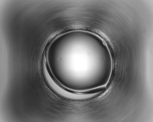 X0000094080930200710261304