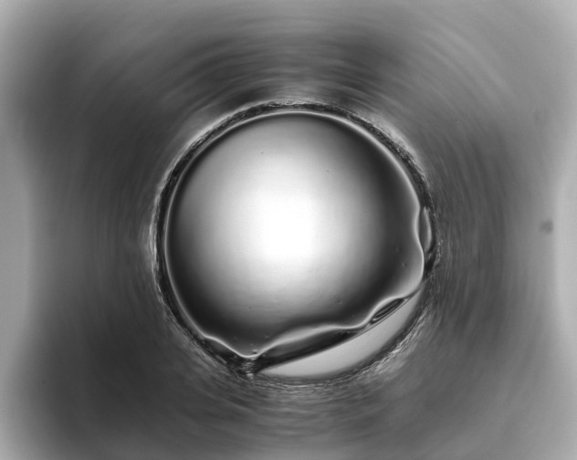 X0000094080935200710261304