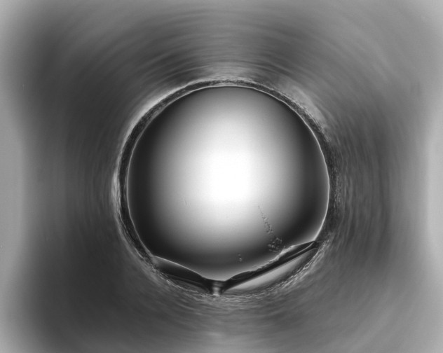 X0000094080936200710261304