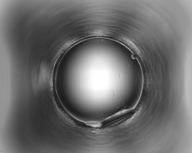 X0000094080938200710261304