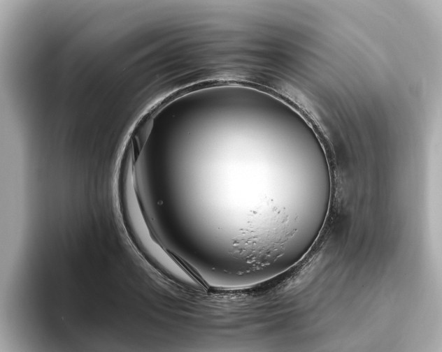 X0000094080939200710261304