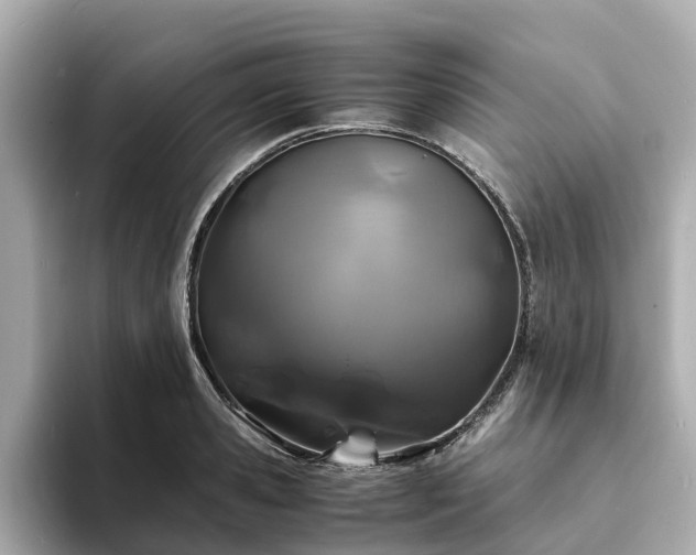 X0000094080941200710261304