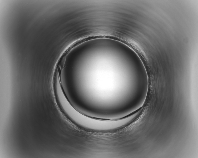 X0000094080942200710261304