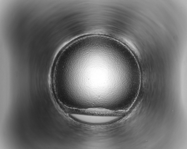 X0000094080944200710261304