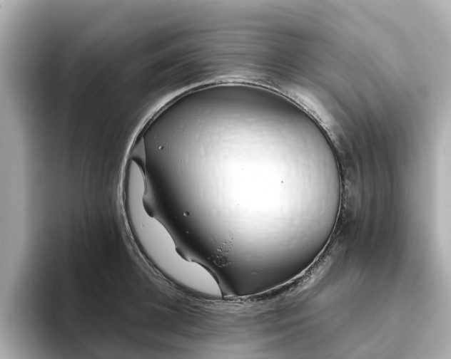 X0000094080948200710261304