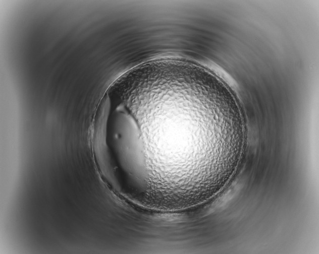 X0000094080953200710261304