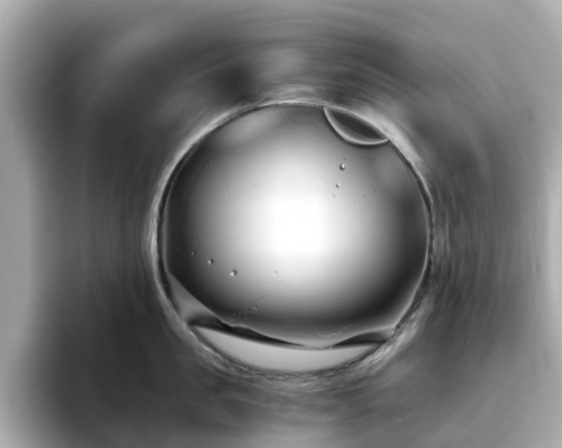 X0000094080957200710261304