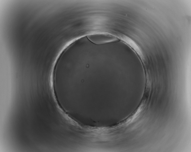 X0000094080958200710261304