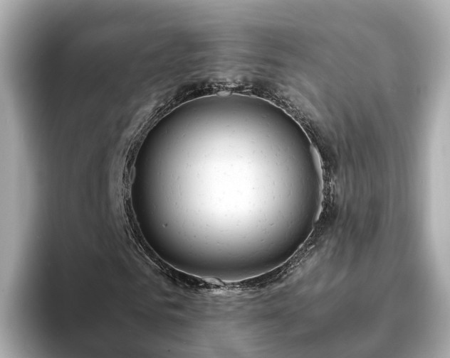 X0000094080961200710261304