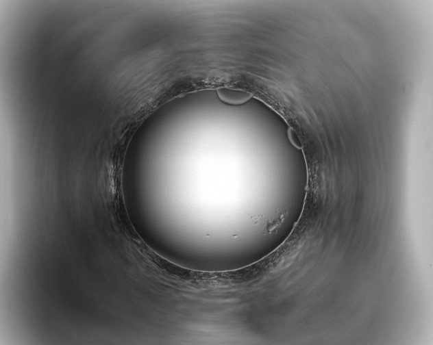 X0000094080962200710261304