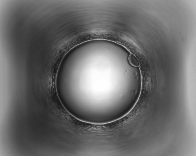 X0000094080966200710261304