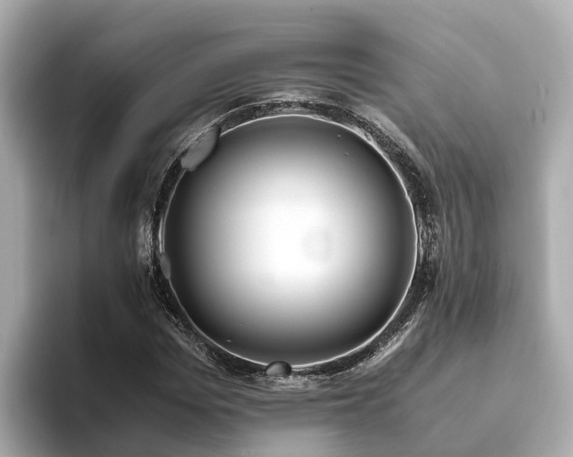 X0000094080969200710261304