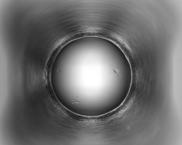 X0000094080970200710261304