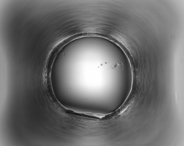 X0000094080971200710261304