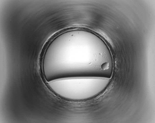 X0000094080972200710261304