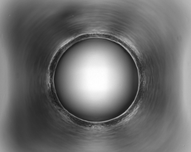 X0000094080974200710261304