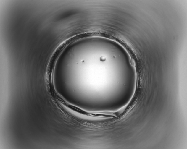 X0000094080975200710261304