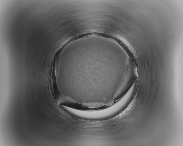 X0000094080977200710261304