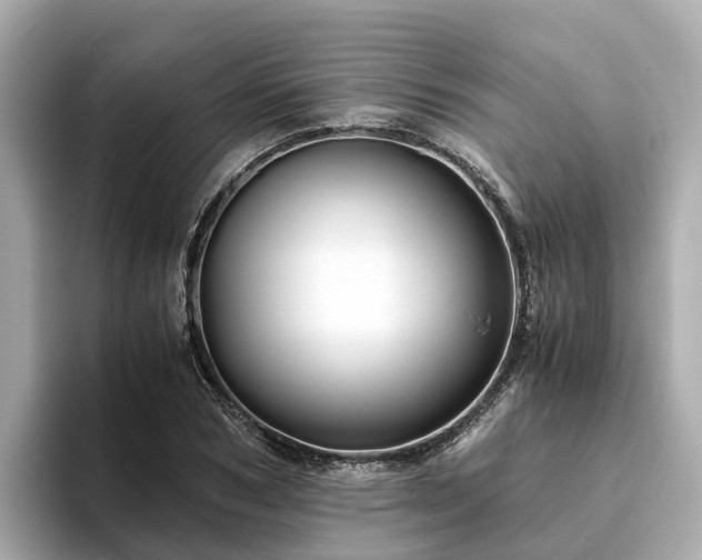 X0000094080978200710261304