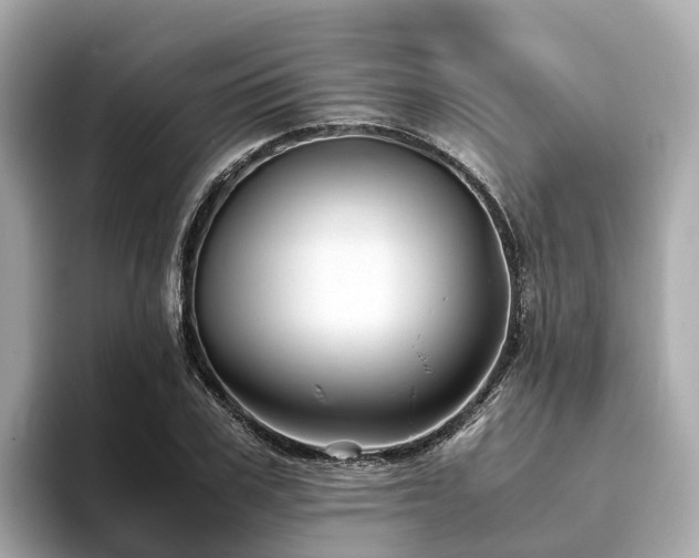 X0000094080979200710261304