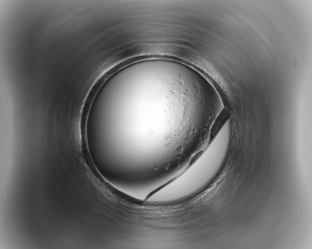 X0000094080980200710261304