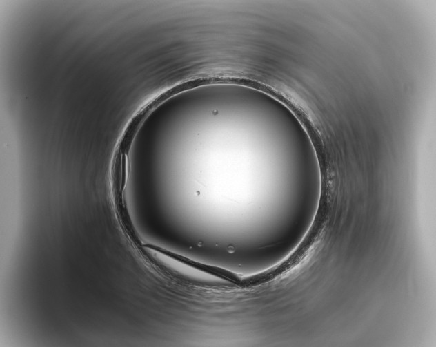 X0000094080981200710261304