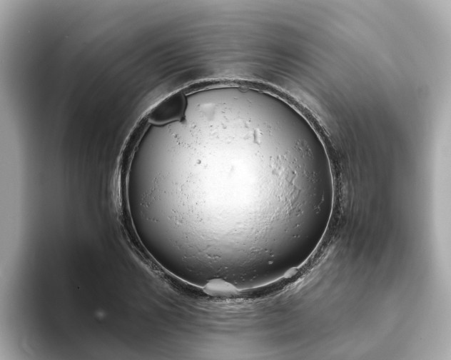 X0000094080982200710261304